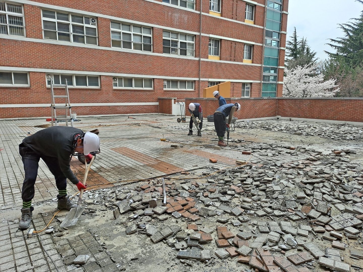 [대구철거  - 대구철거개발] 대구 동구 중고등학교 280평타일 하스리공사 작업완료 사진